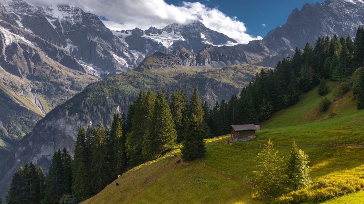 Das CO2-Gesetz der Schweiz einfach erklaert: Ziele, Massnahmen, Folgen