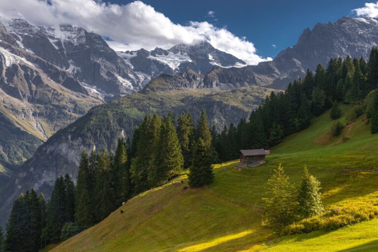 Das CO2-Gesetz der Schweiz einfach erklaert: Ziele, Massnahmen, Folgen