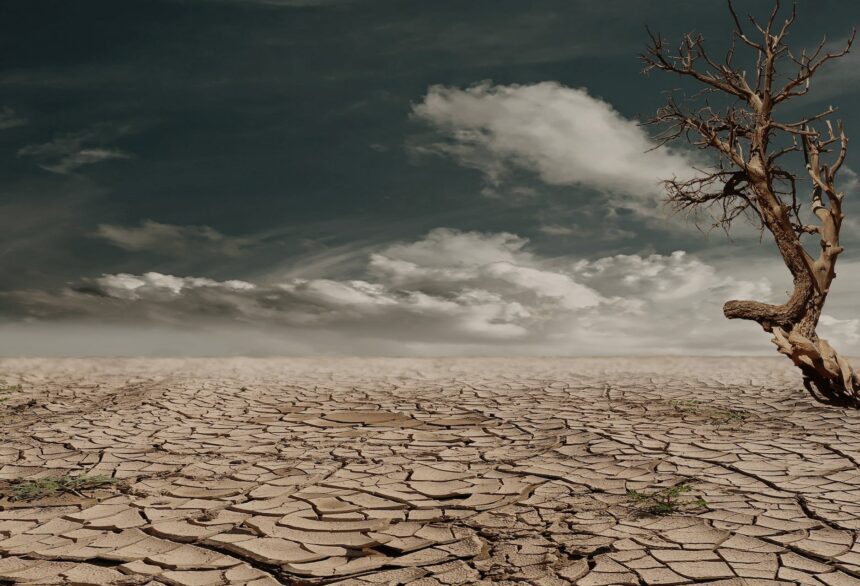 desert drought dehydrated clay soil 60013.jpegautocompresscstinysrgbdpr2h650w940dldosya 1