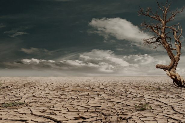 desert drought dehydrated clay soil 60013.jpegautocompresscstinysrgbdpr2h650w940dldosya