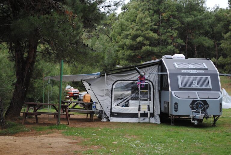 dethleffs wohnwagen - A caravan set up in a tranquil forest campsite with wooden tables and lush gre
