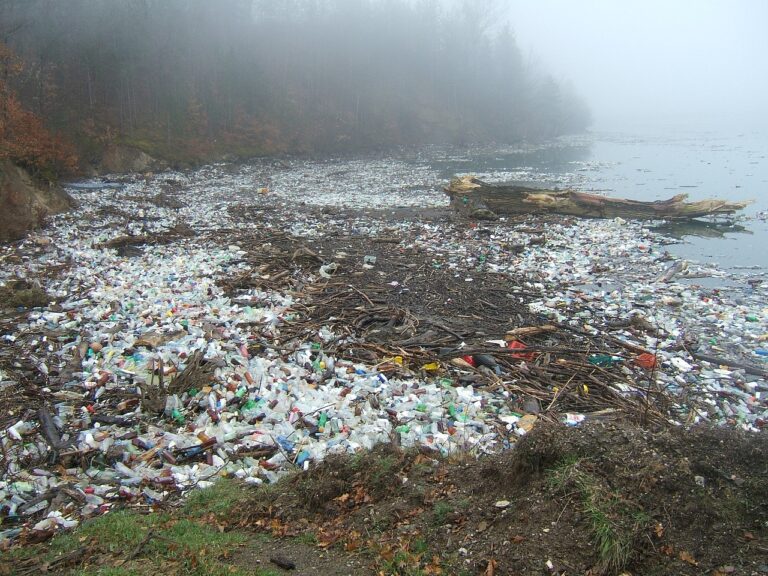environmental pollution 203737 1280