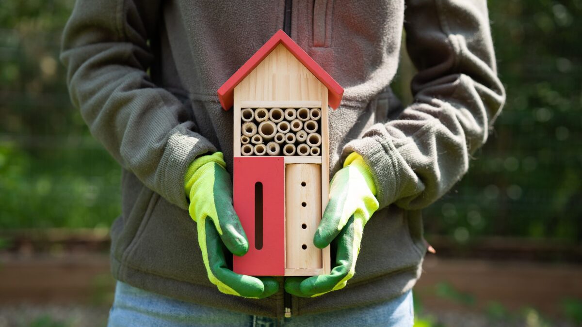 Insektenhotel bauen und richtig aufstellen: So hilfst du der Artenvielfalt
