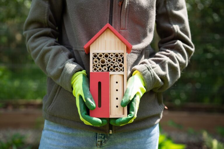 Insektenhotel bauen und richtig aufstellen: So hilfst du der Artenvielfalt