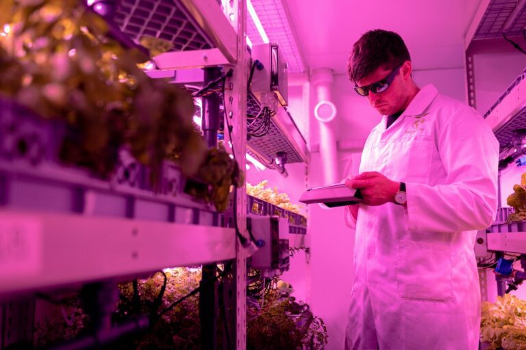 pexels thisisengineering 3912509 1