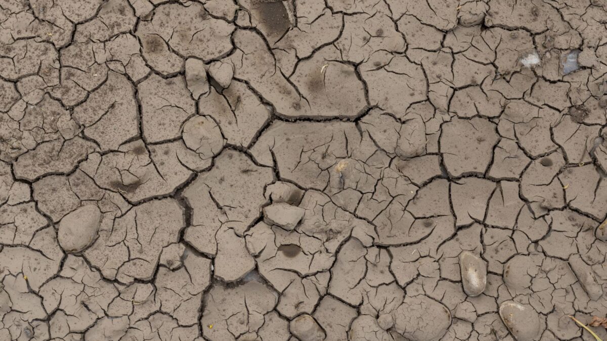 Close-up of cracked, dry earth showcasing the effects of drought and environmental stress.