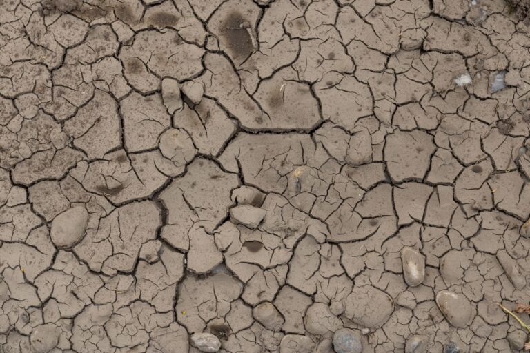 Close-up of cracked, dry earth showcasing the effects of drought and environmental stress.